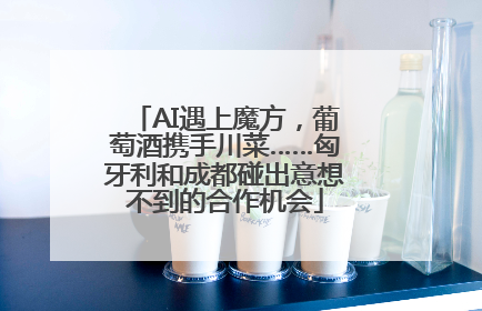 AI遇上魔方，葡萄酒携手川菜……匈牙利和成都碰出意想不到的合作机会