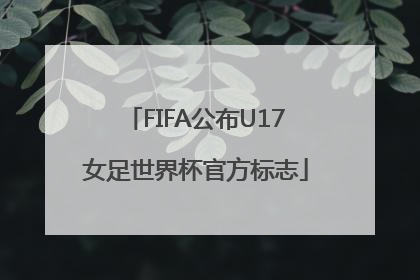 FIFA公布U17女足世界杯官方标志