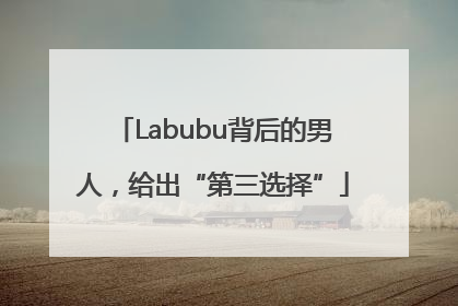 Labubu背后的男人，给出“第三选择”