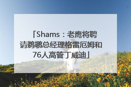 Shams：老鹰将聘请鹈鹕总经理格雷厄姆和76人高管丁威迪