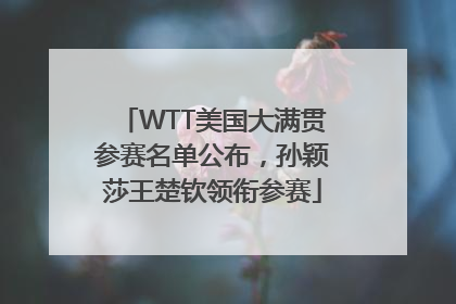 WTT美国大满贯参赛名单公布，孙颖莎王楚钦领衔参赛