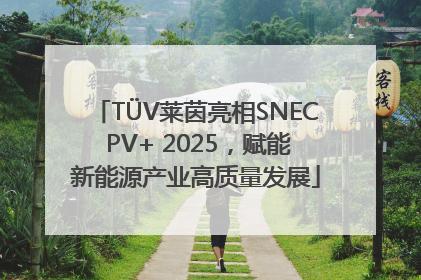 TÜV莱茵亮相SNEC PV+ 2025，赋能新能源产业高质量发展